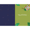 Picture of 6TH BIRTHDAY CARD